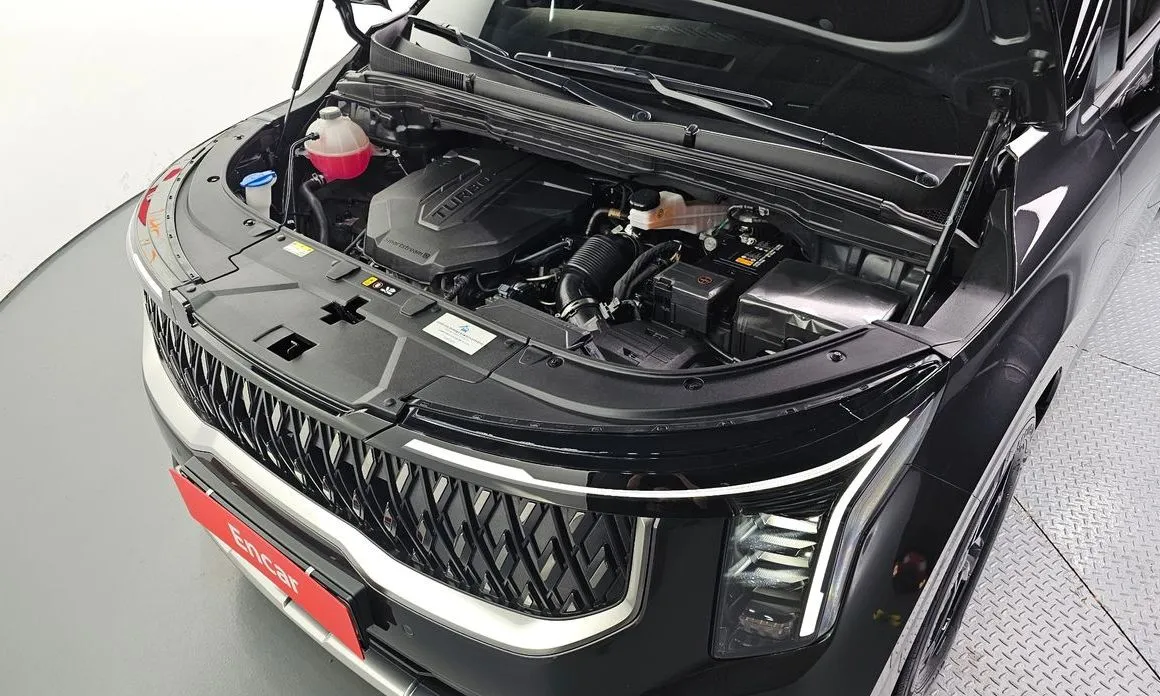 Kia Carnival — фото 10