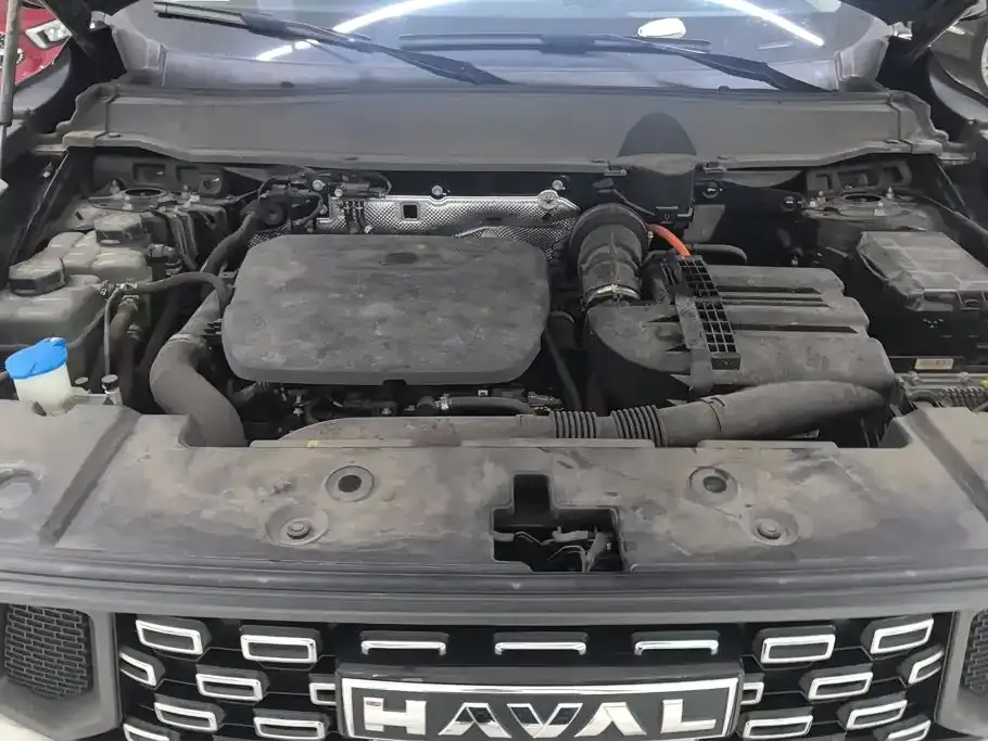 Haval Big Dog PLUS New Energy — фото 6