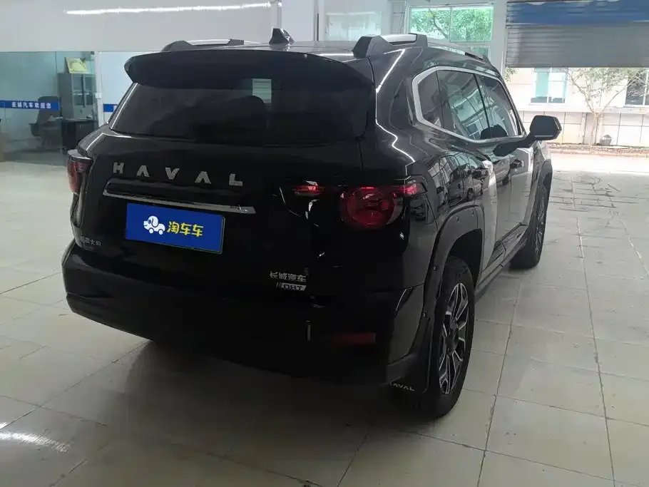 Haval Big Dog PLUS New Energy — фото 9
