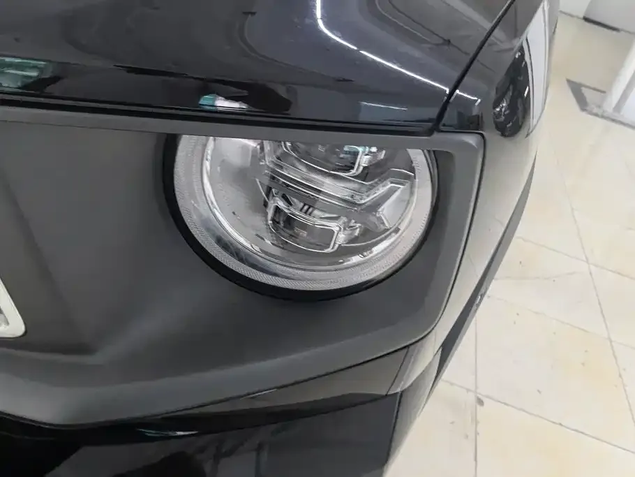 Haval Big Dog PLUS New Energy — фото 10
