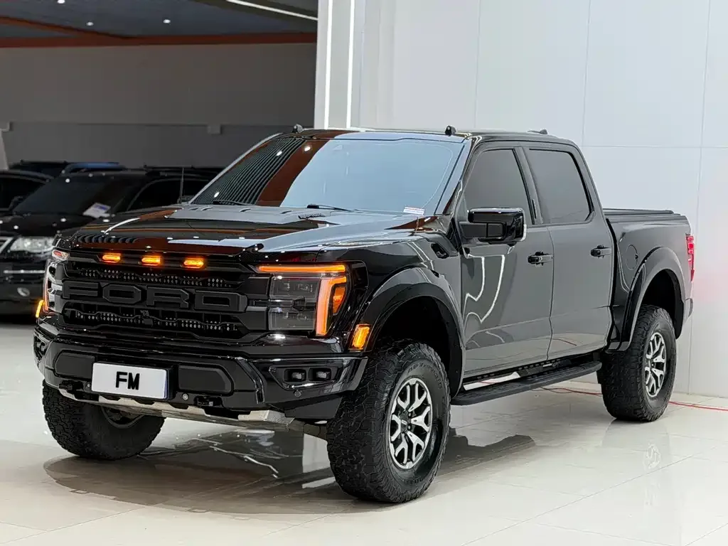 Ford F-150 Raptor — фото 8