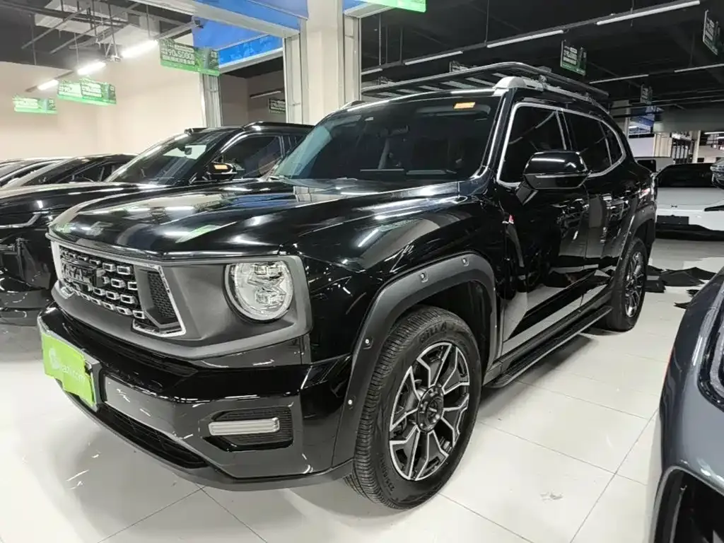Haval Big Dog PLUS New Energy — фото 8