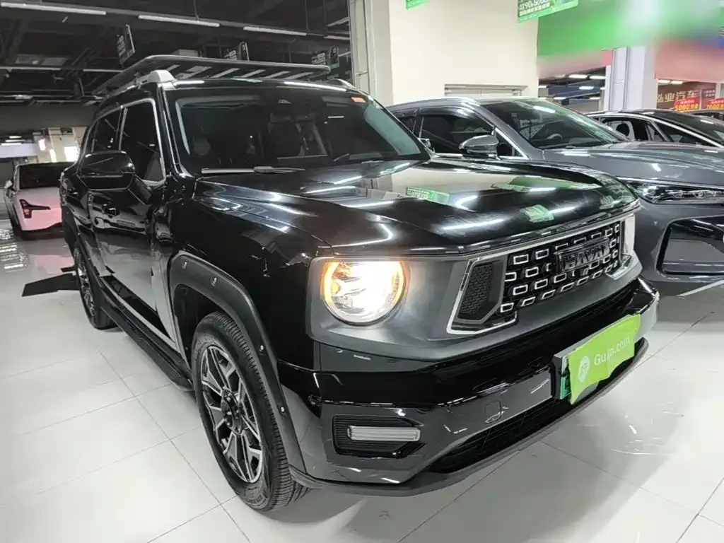 Haval Big Dog PLUS New Energy — фото 6