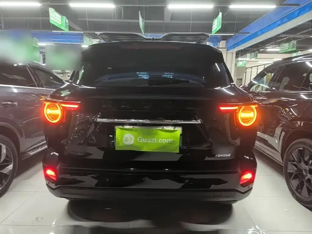Haval Big Dog PLUS New Energy — фото 9