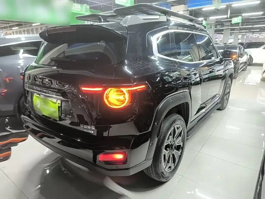 Haval Big Dog PLUS New Energy — фото 4