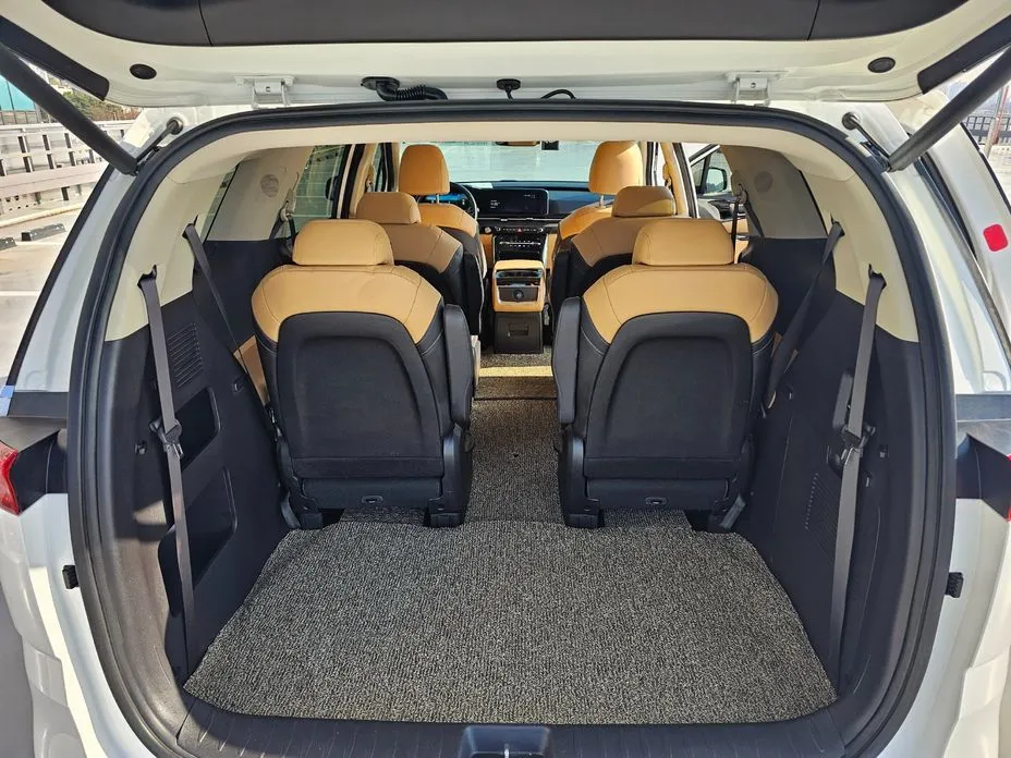 Kia Carnival — фото 10