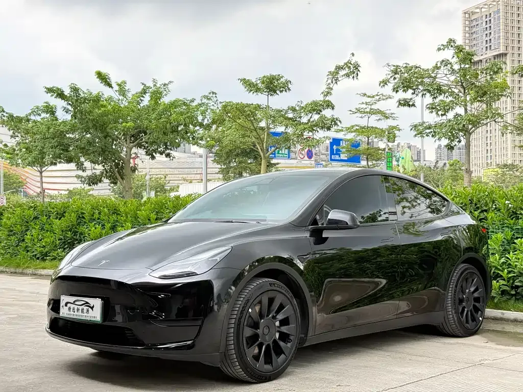 Tesla Model Y — фото 1
