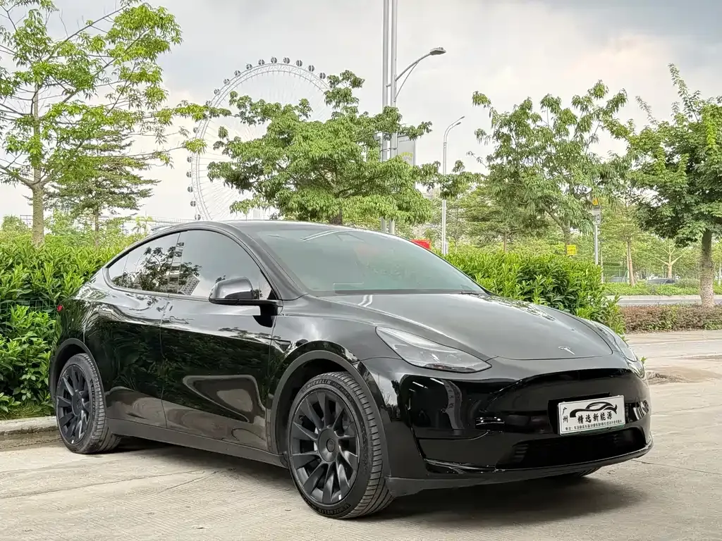 Tesla Model Y — фото 9