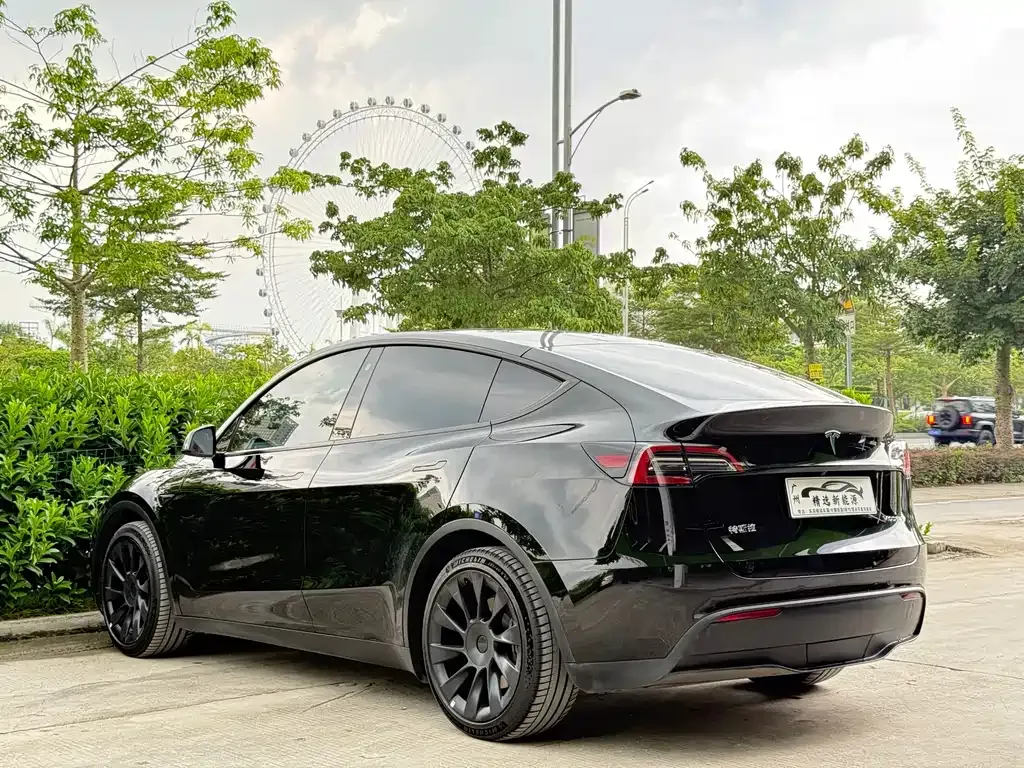 Tesla Model Y — фото 2
