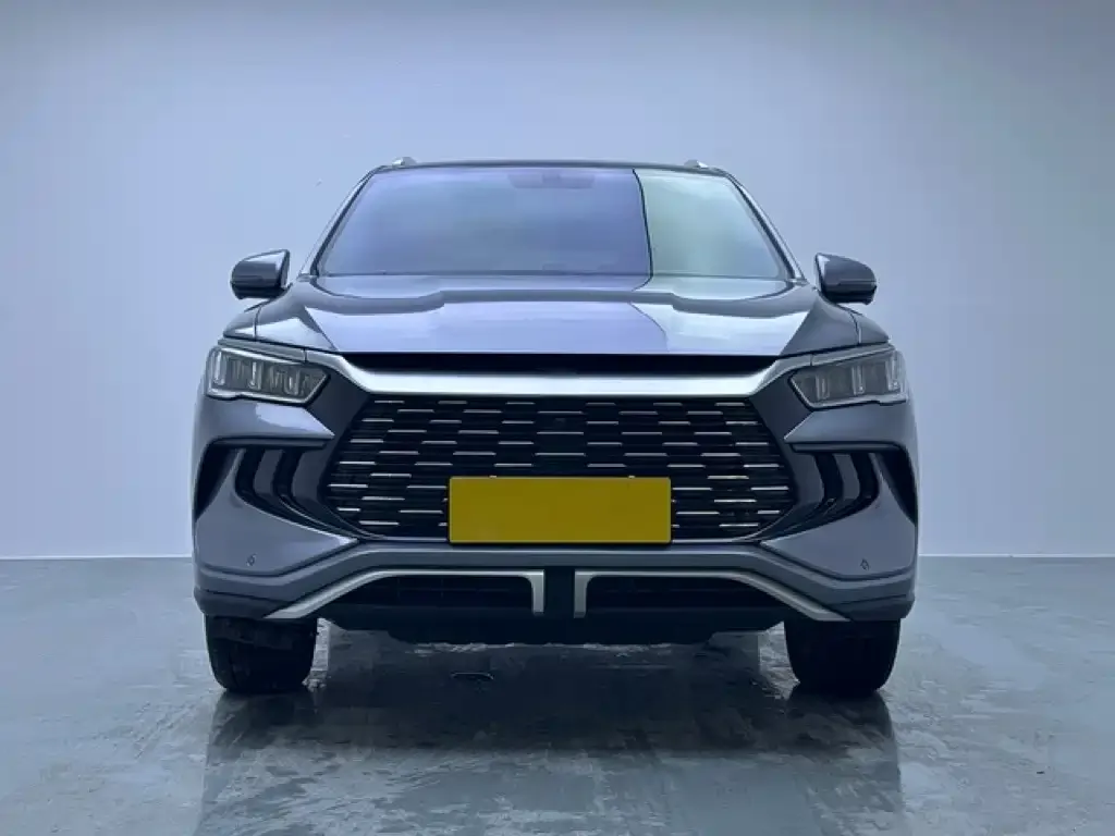 BYD Pro New Energy — фото 3