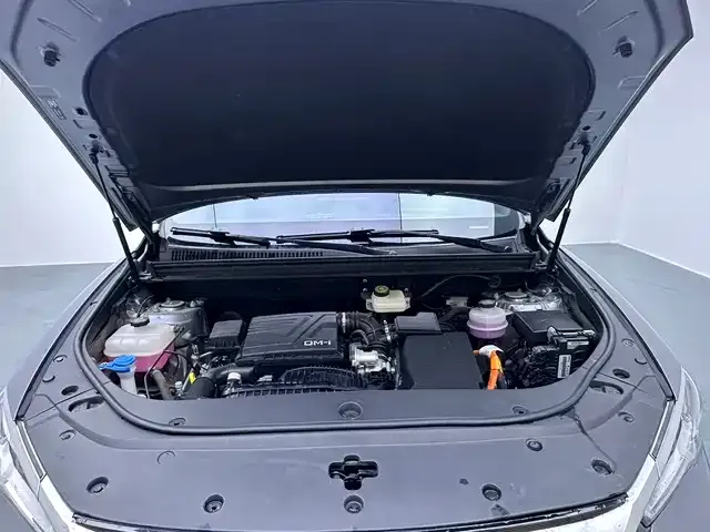 BYD Pro New Energy — фото 7