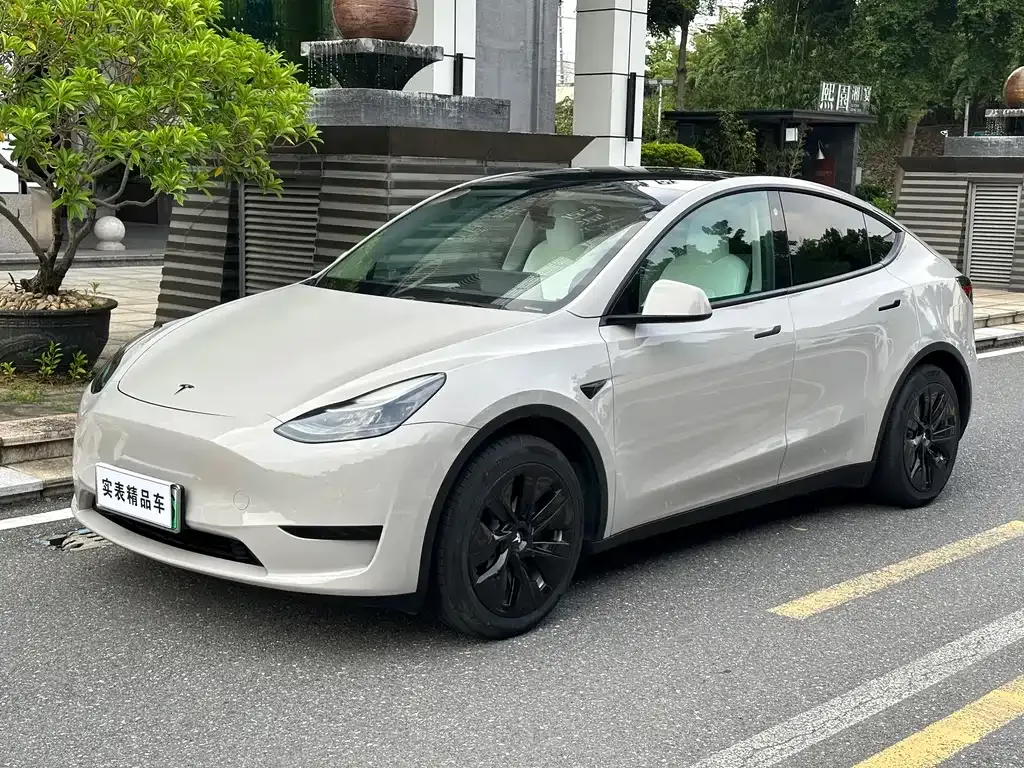 Tesla Model Y — фото 1