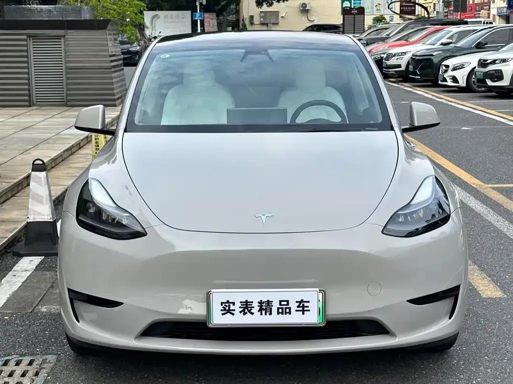 Tesla Model Y — фото 9