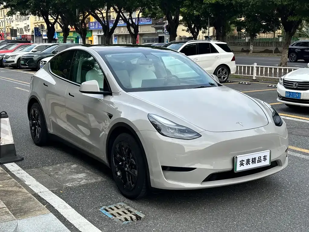 Tesla Model Y — фото 10