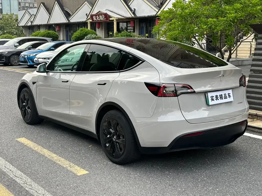 Tesla Model Y — фото 2