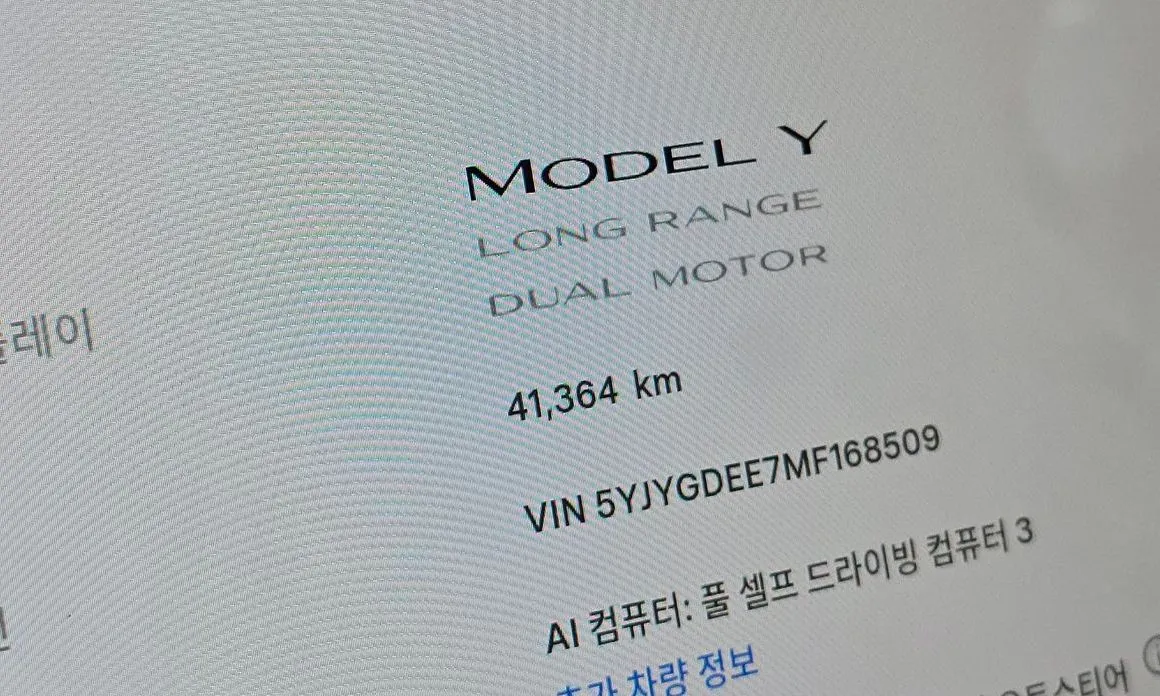 Tesla Model Y — фото 9