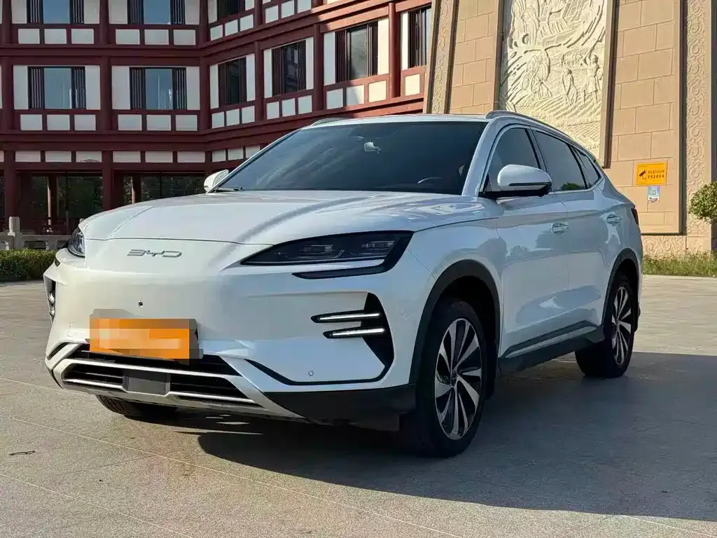 BYD PLUS New Energy — фото 1