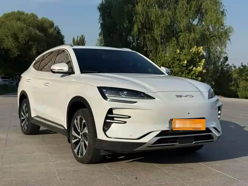 BYD PLUS New Energy — фото 4