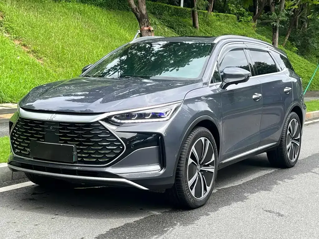 BYD Tang New Energy — фото 1