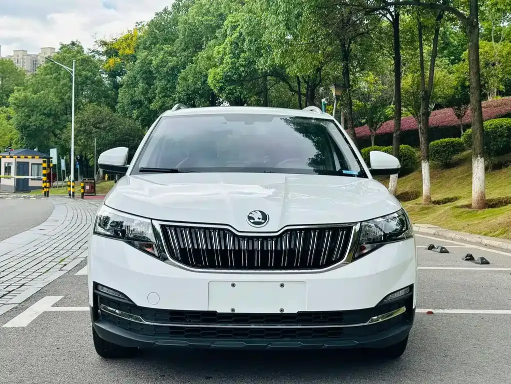 Skoda Kamiq — фото 10