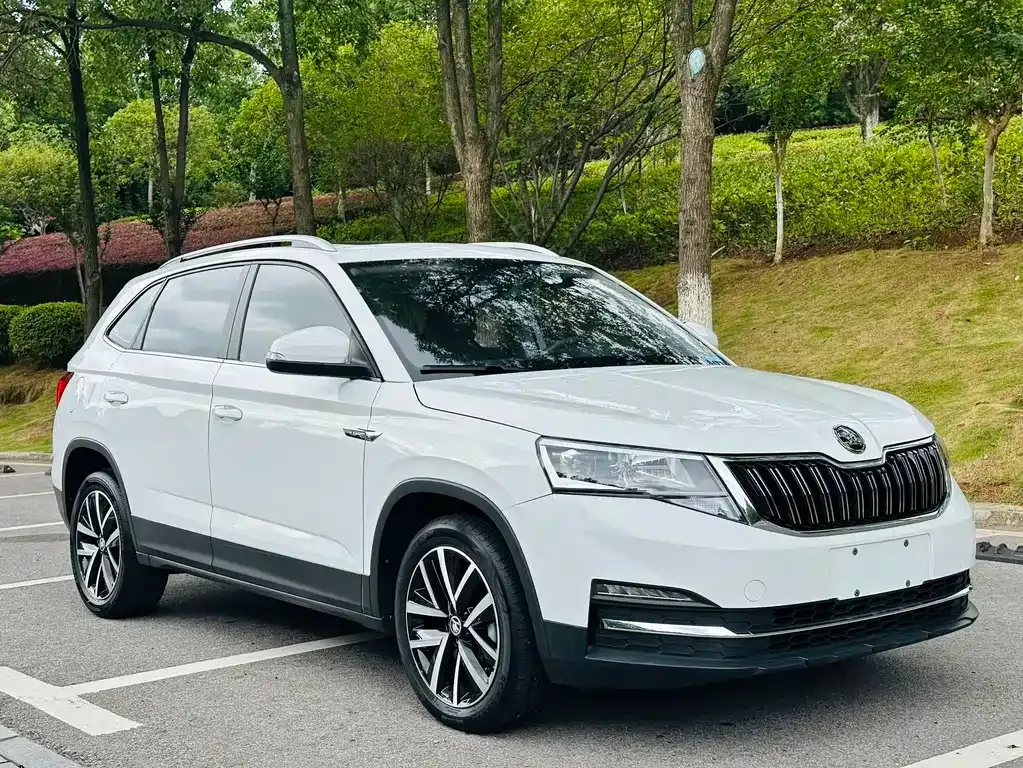 Skoda Kamiq — фото 9