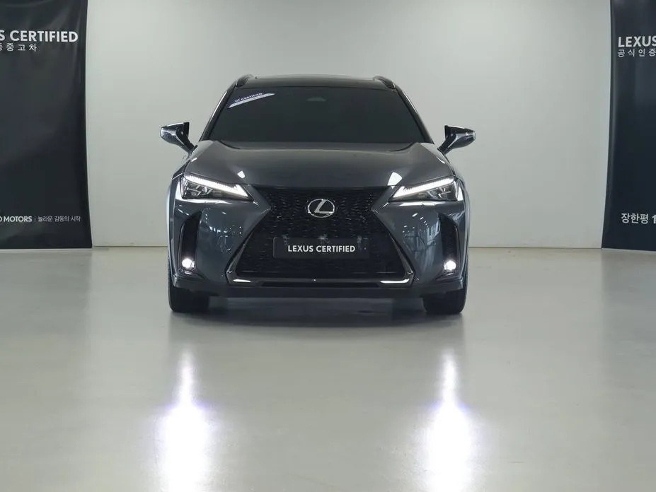 Lexus UX — фото 4