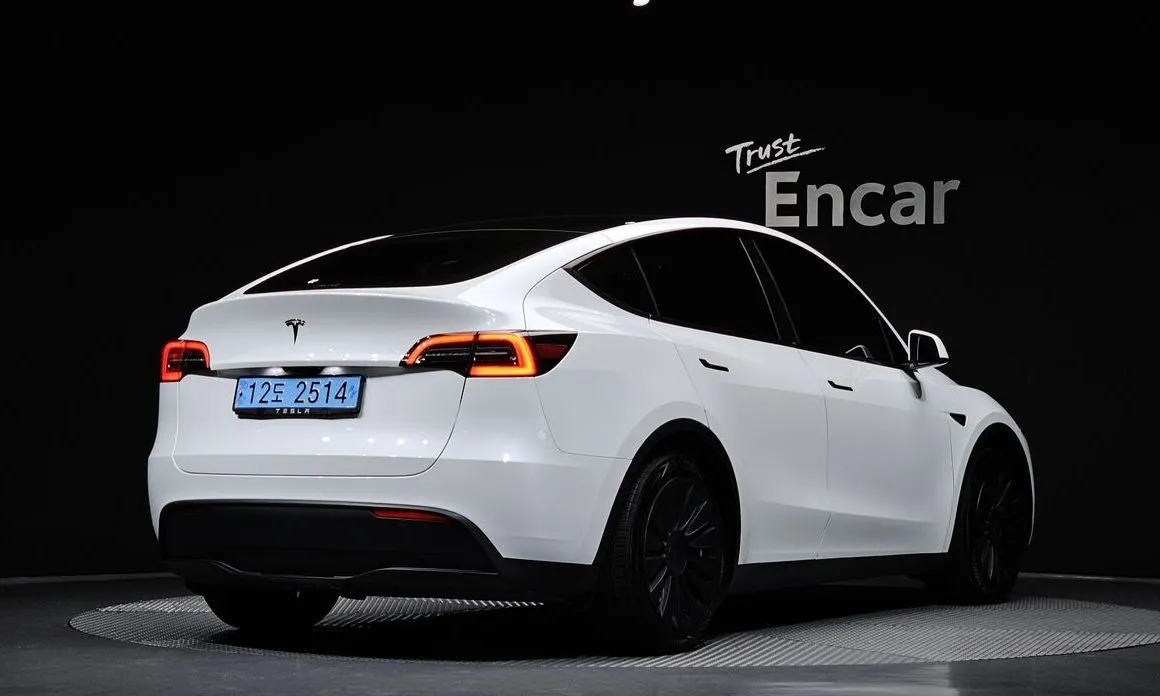 Tesla Model Y — фото 10