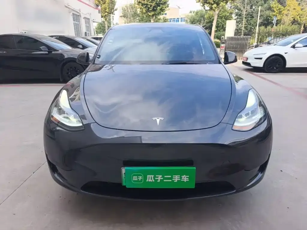 Tesla Model Y — фото 6