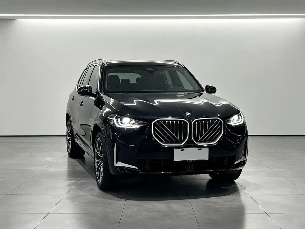 BMW X3 — фото 4