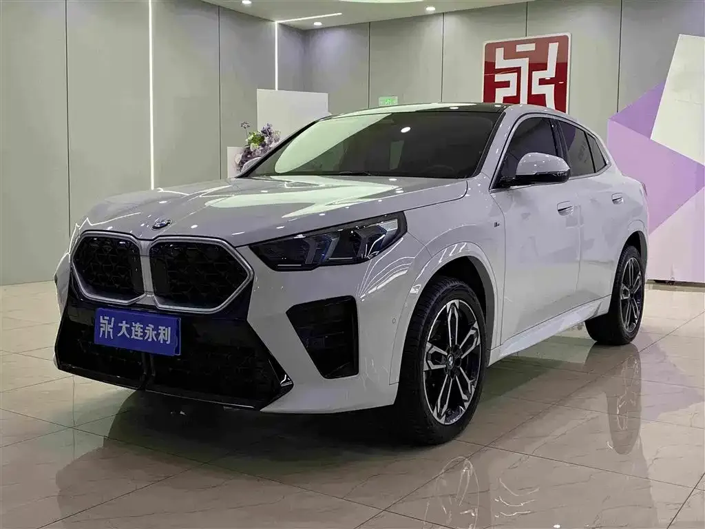 BMW X2 (Import) — фото 1