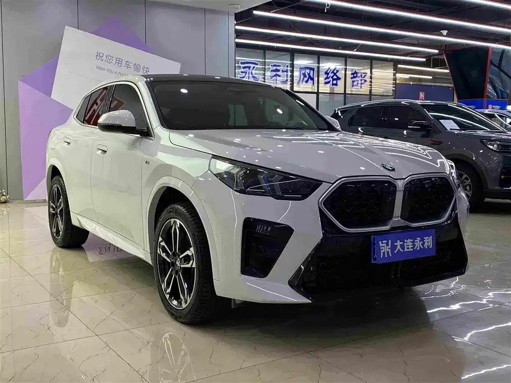BMW X2 (Import) — фото 2