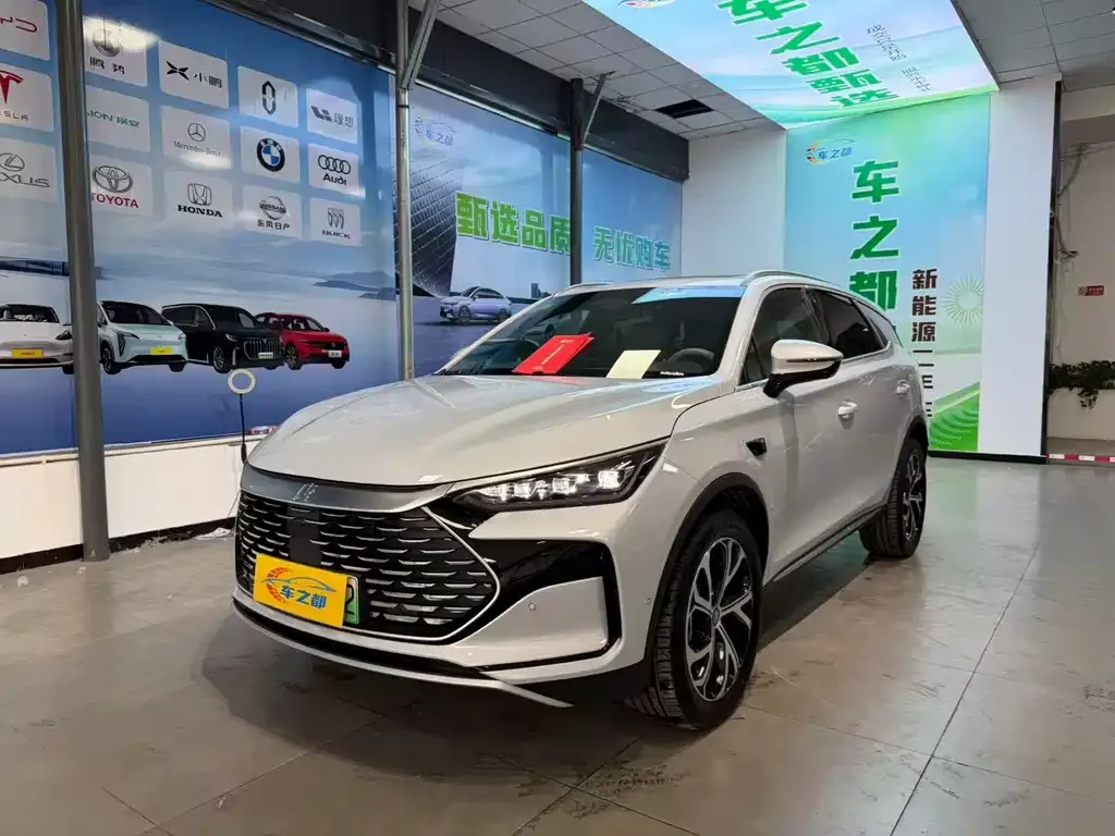 BYD Tang New Energy — фото 1