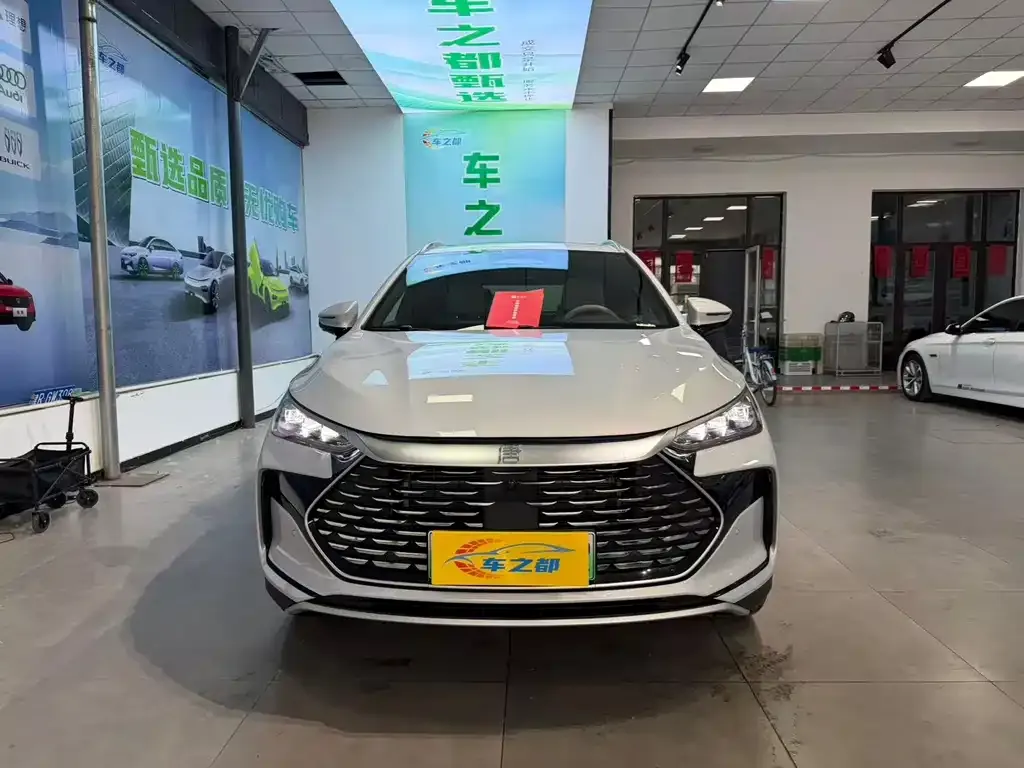 BYD Tang New Energy — фото 7