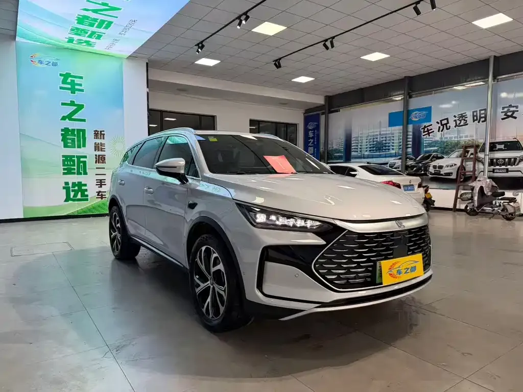 BYD Tang New Energy — фото 8