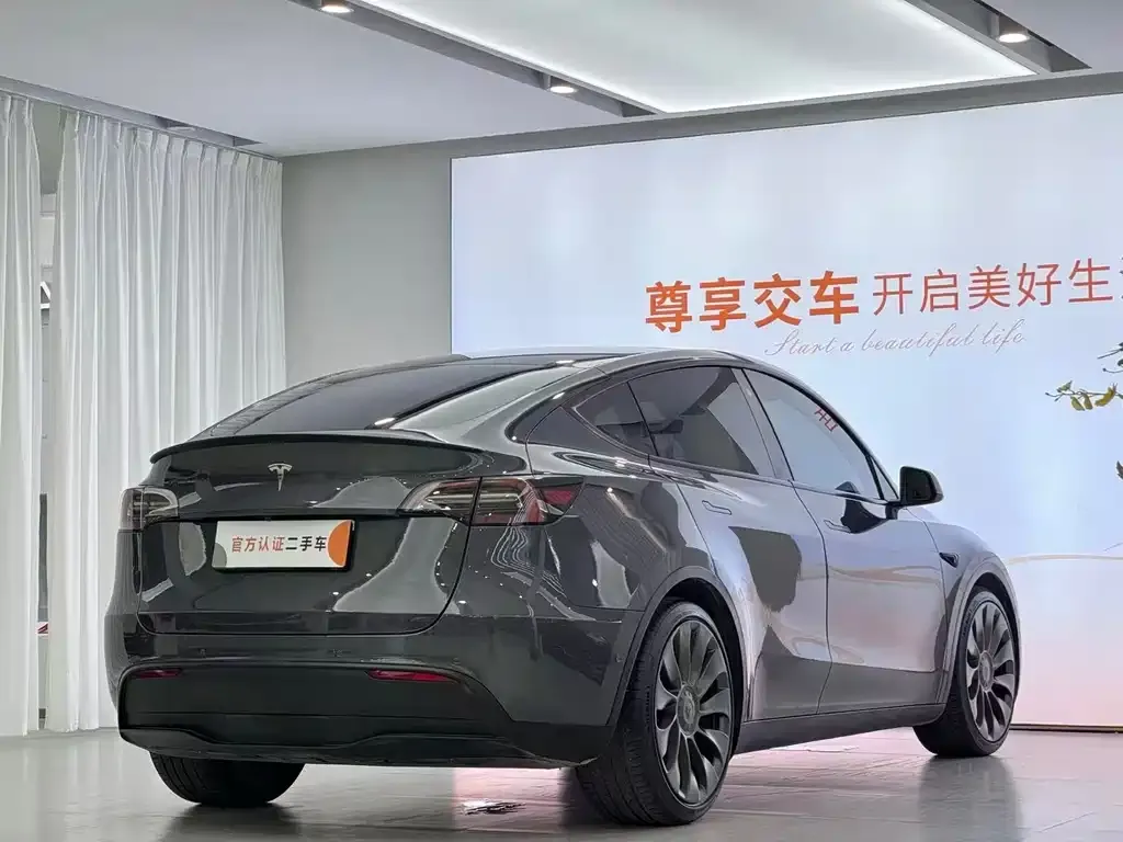 Tesla Model Y — фото 8