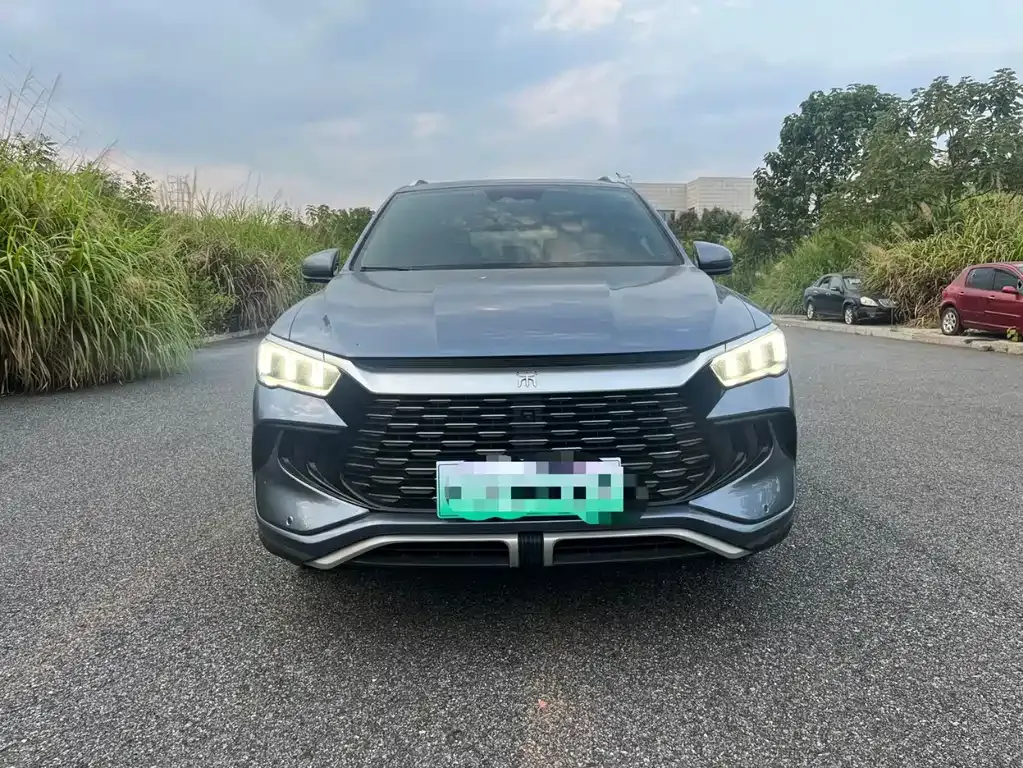 BYD Pro New Energy — фото 1