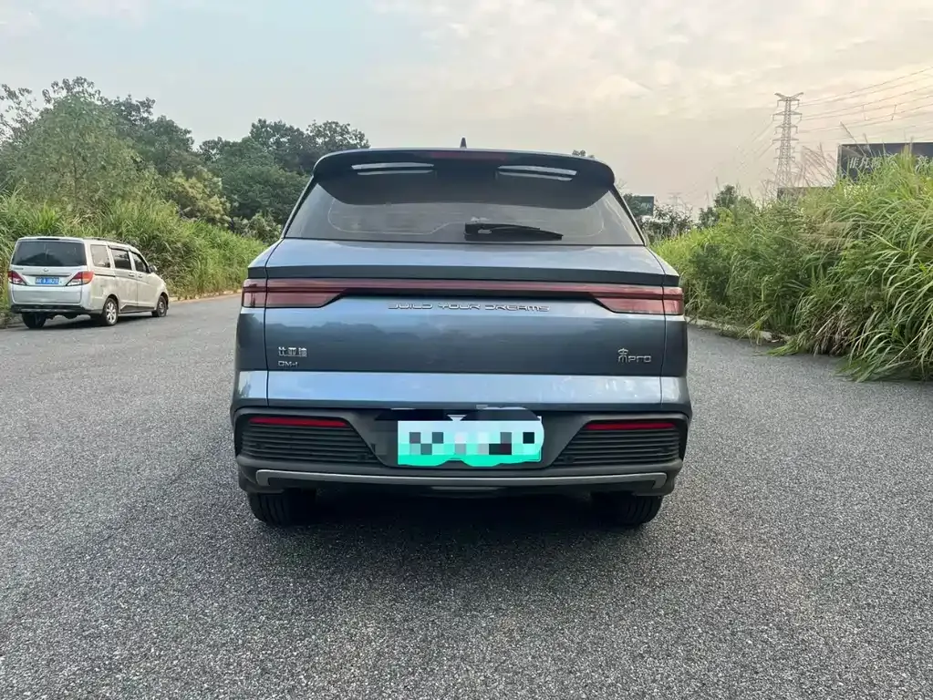 BYD Pro New Energy — фото 9