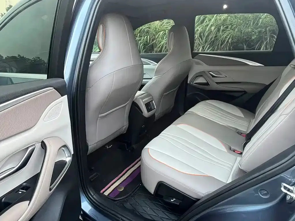 BYD Pro New Energy — фото 2
