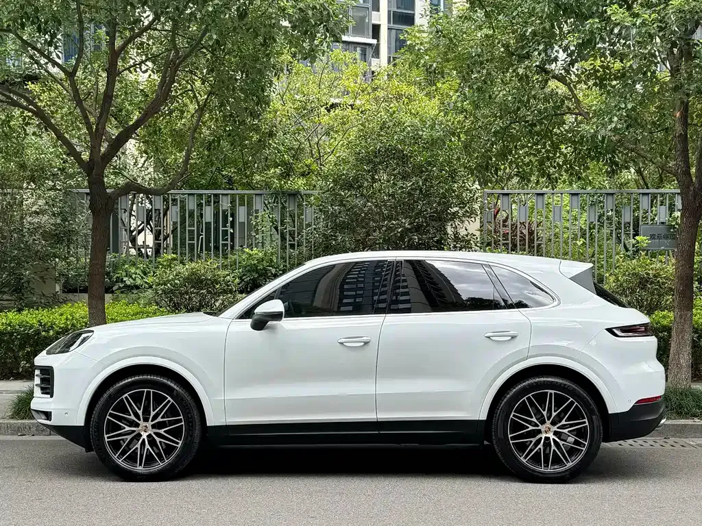 Porsche Cayenne — фото 10
