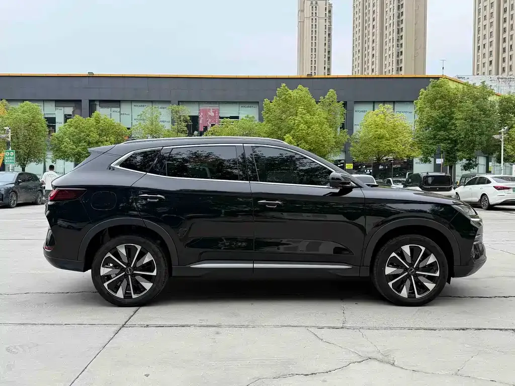 BYD PLUS New Energy — фото 3