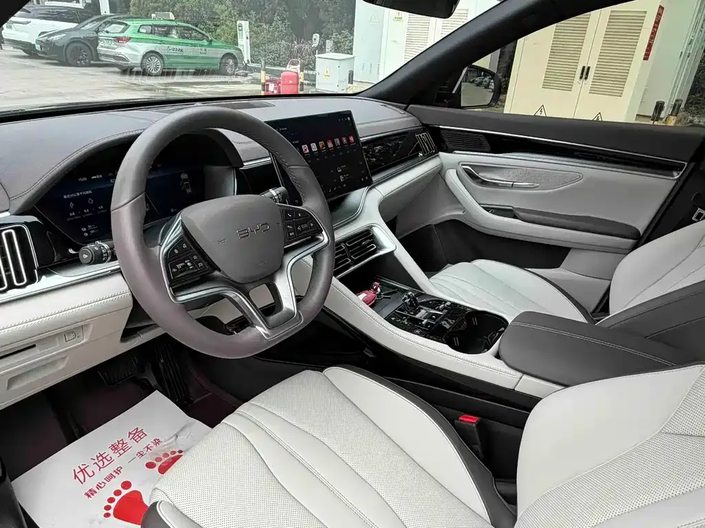BYD PLUS New Energy — фото 5