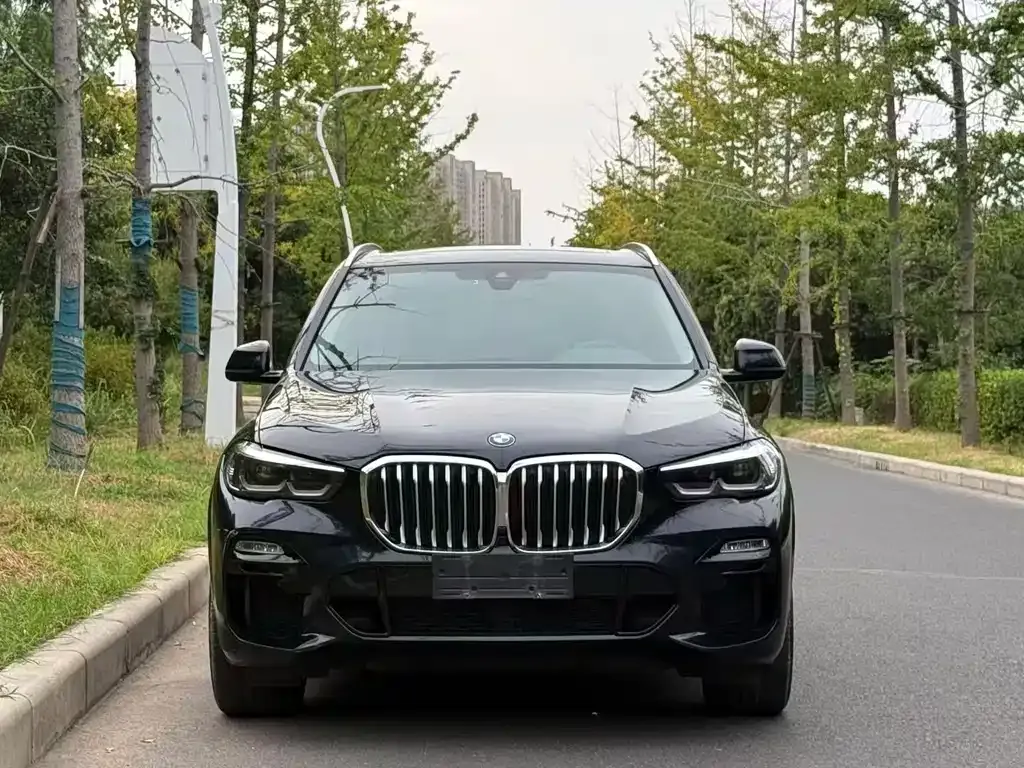 BMW X5 (Import) — фото 7