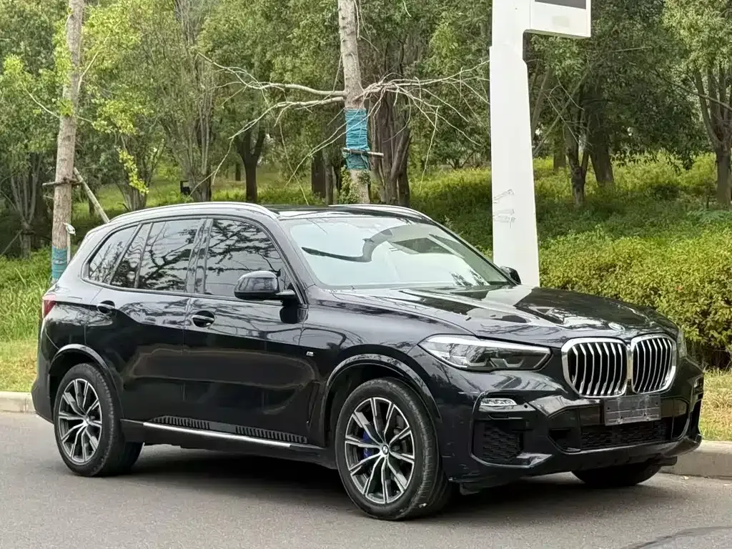BMW X5 (Import) — фото 8