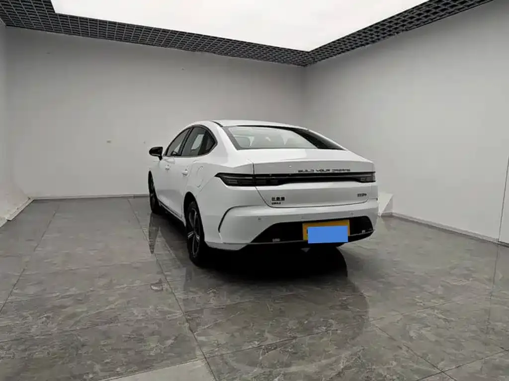 BYD Destroyer 05 — фото 10
