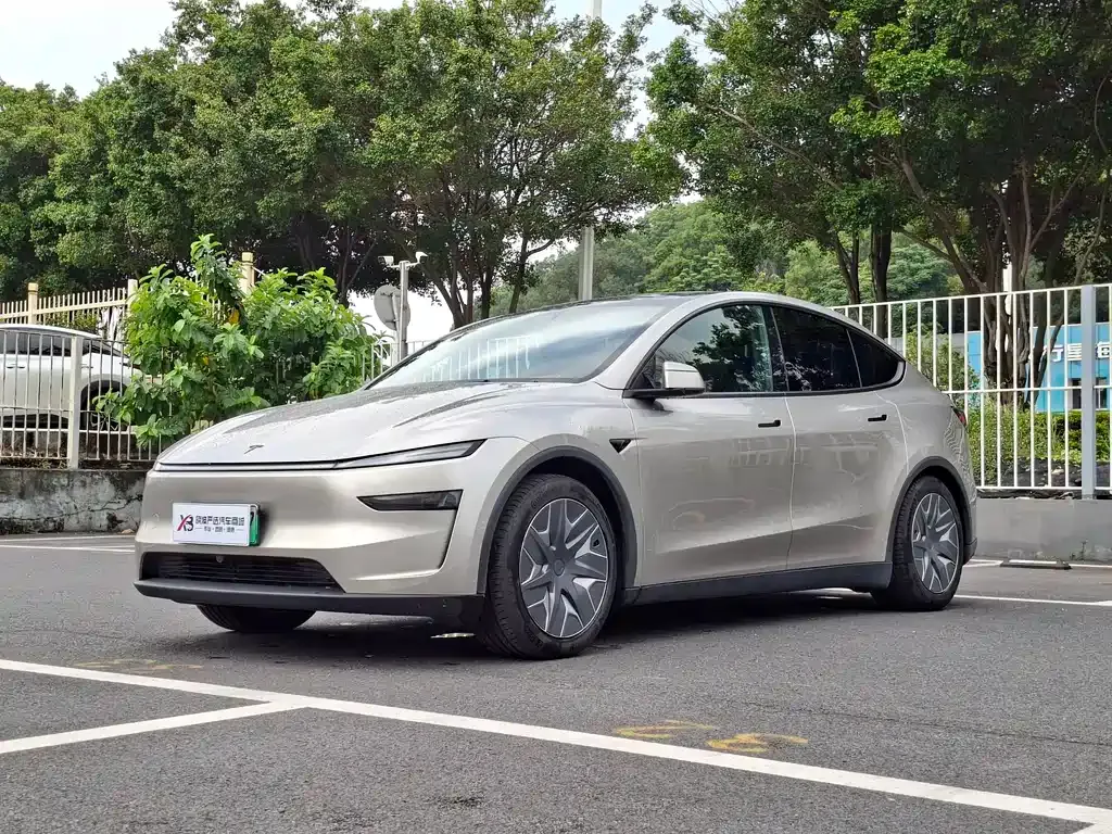 Tesla Model Y L — фото 1