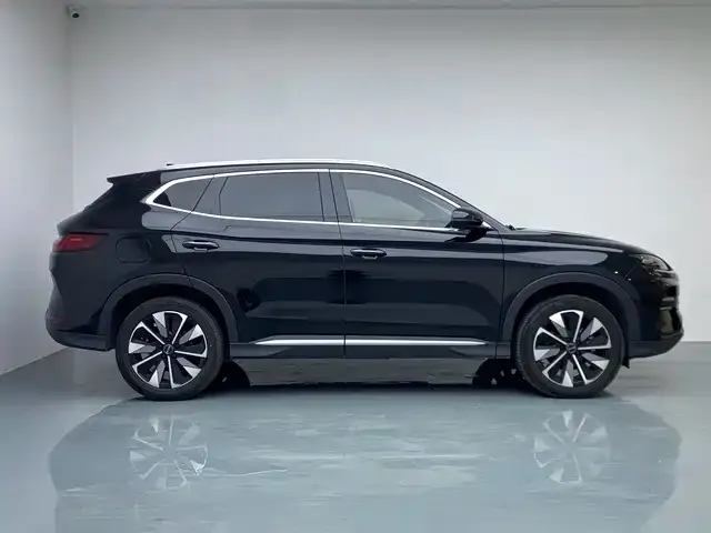BYD PLUS New Energy — фото 4