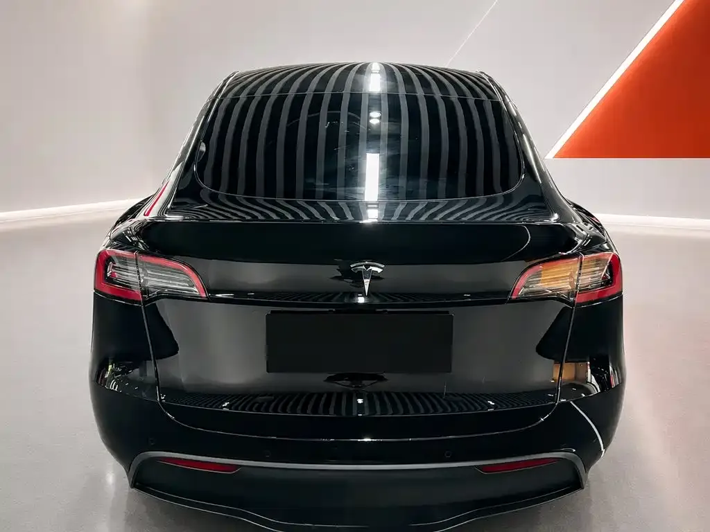 Tesla Model Y — фото 5