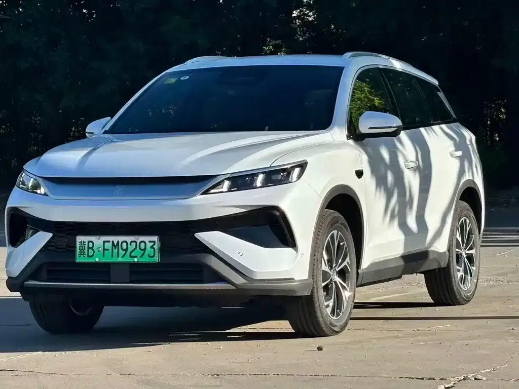 BYD Pro New Energy — фото 1