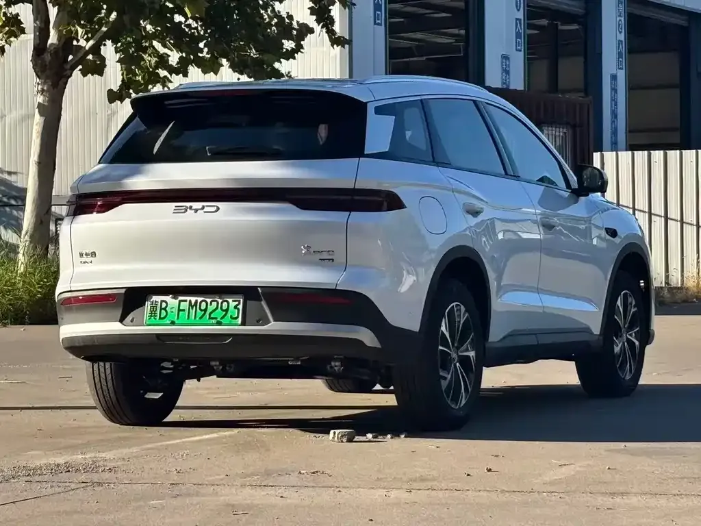 BYD Pro New Energy — фото 9