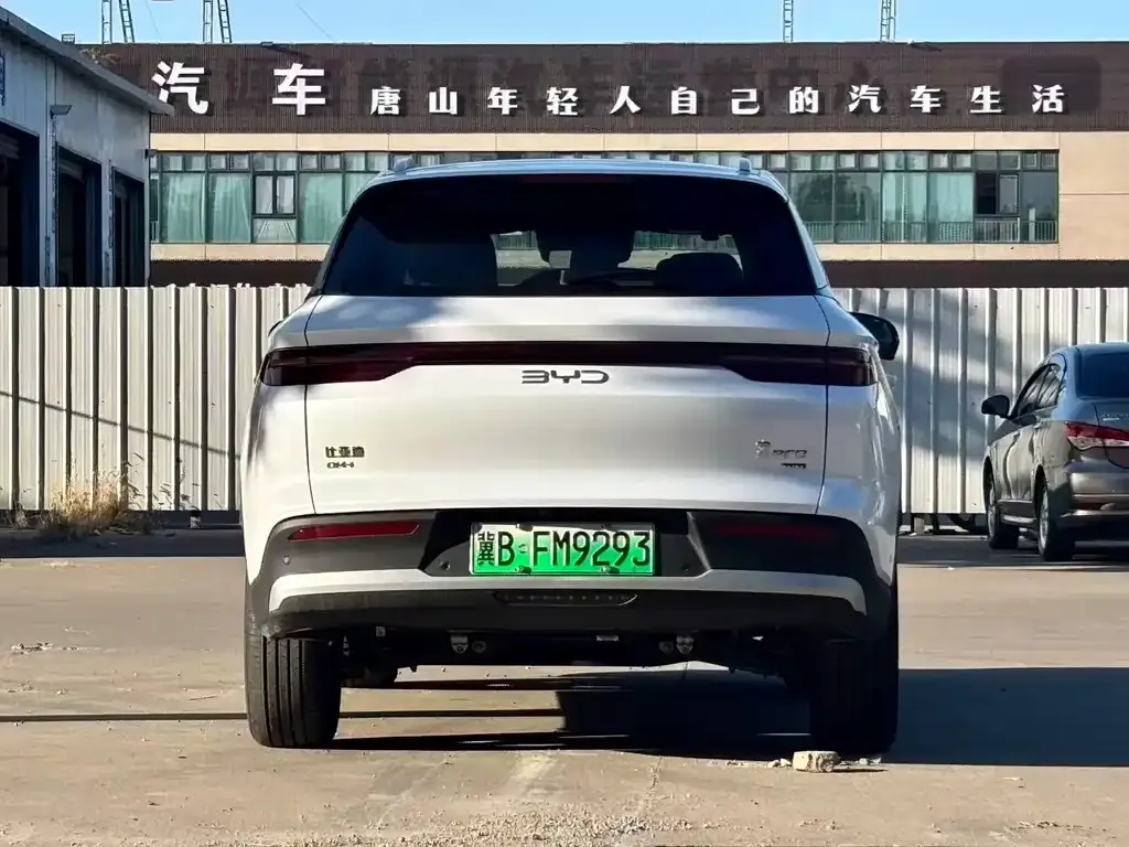 BYD Pro New Energy — фото 4